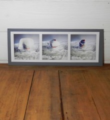 Carte postale pingouin