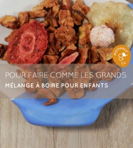 Pour faire commes les grands - Mlange pour enfants - Moineaux & Co