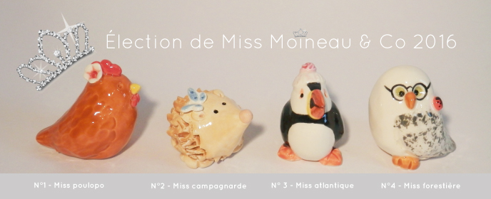 Élection de Miss Moineaux & Co 2016 !