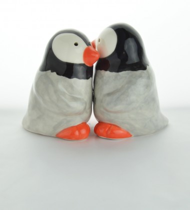 Poivre et sel couple de pingouins.
