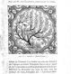 Extrait - La Faïence - Théodore Deck - version numérisée - bibliothèque moineaux & co