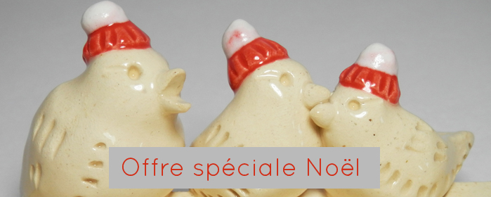 Offre spéciale Noël