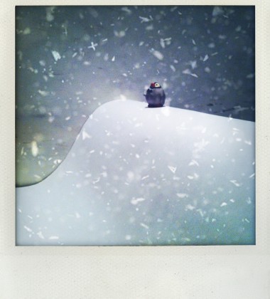 carte postale pingouin tempête neige moineauxandco