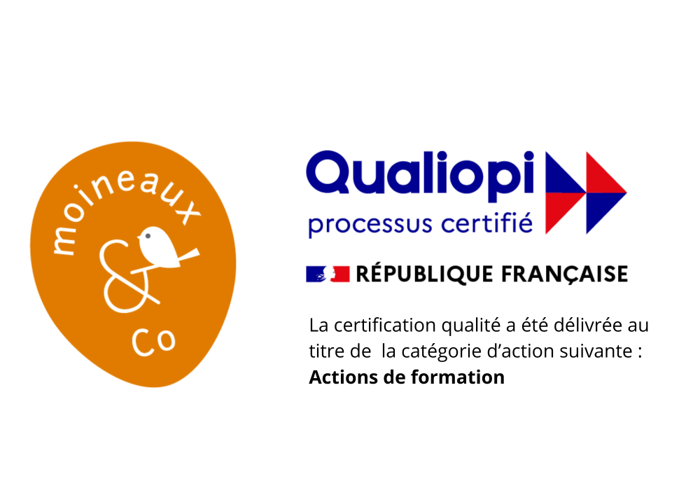 Moineaux & Co est certifié Qualiopi pour ses actions de formation