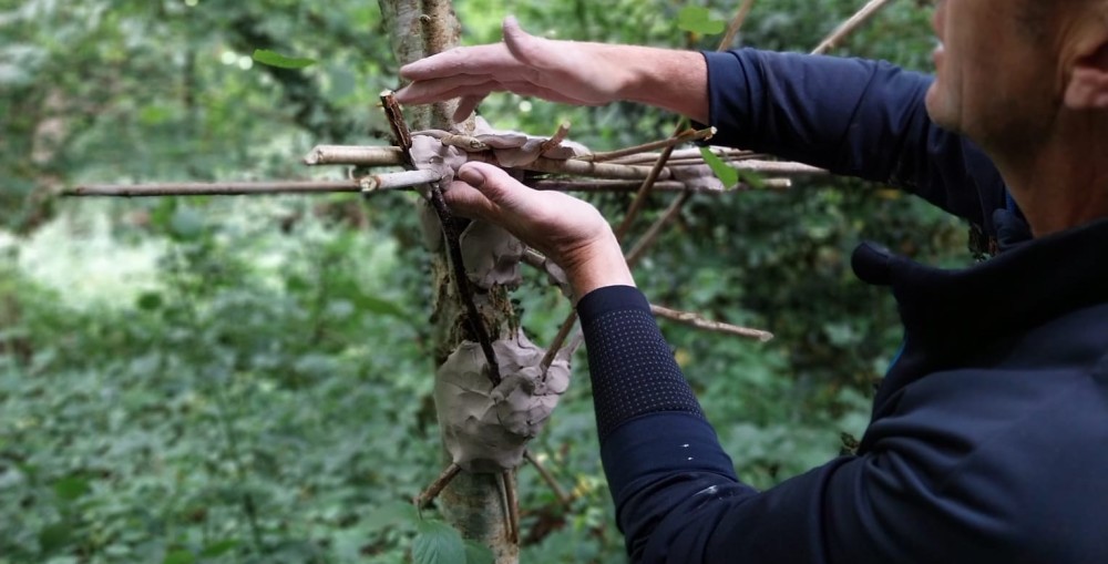 stage retrouver son enfant intérieur - moineaux and co quimper