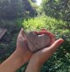 Atelier argile dans la nature - Bois d'Amour Quimper - Moineaux & Co poterie