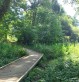 Atelier argile dans la nature - Bois d'Amour Quimper - Moineaux & Co poterie