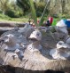 Atelier argile dans la nature - Bois d'Amour Quimper - Moineaux & Co poterie