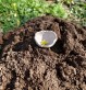 Atelier argile dans la nature - Bois d'Amour Quimper - Moineaux & Co poterie
